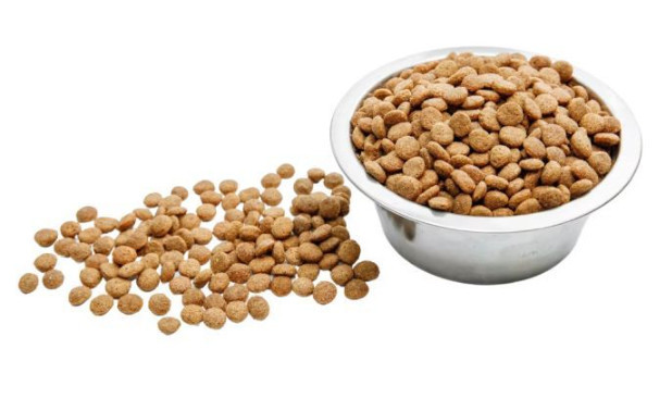 Сухий корм "Wise Cat" Качка 10кг